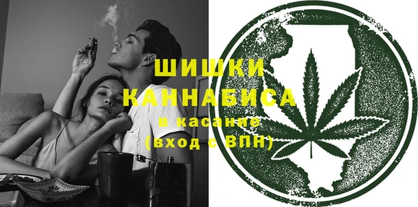 дурь Бородино