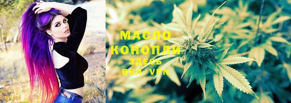дурь Бородино