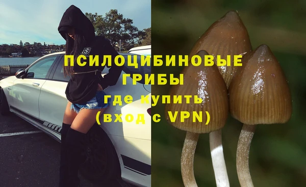 СК Богданович