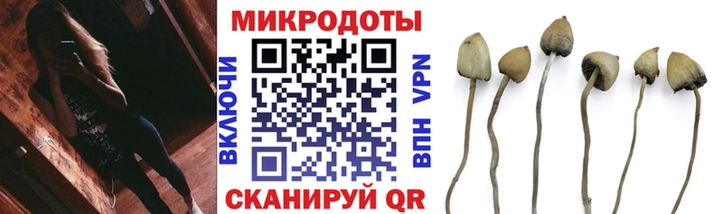 Галлюциногенные грибы GOLDEN TEACHER  как найти   Избербаш 